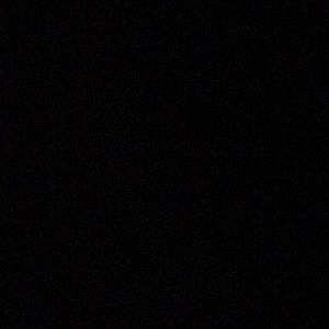 Meet your Posher, Dylan